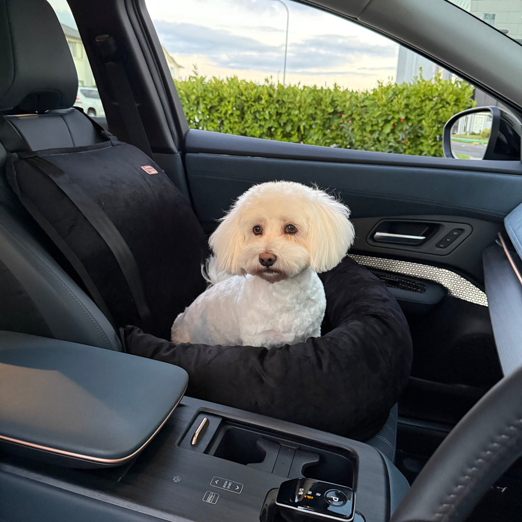 Dog Car Seat – Safe & Stress-Free Travel for Your Dog