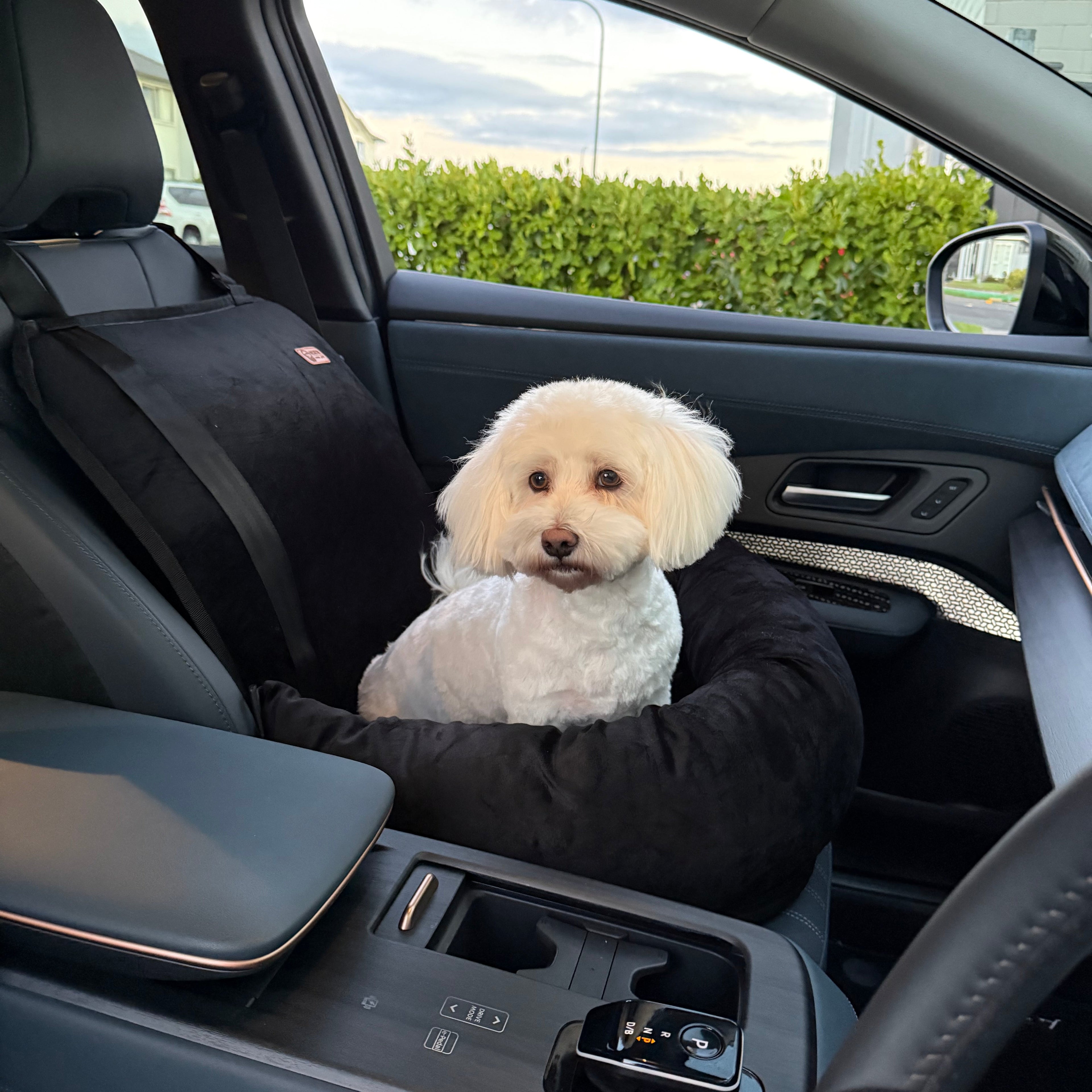 Dog Car Seat – Safe & Stress-Free Travel for Your Dog